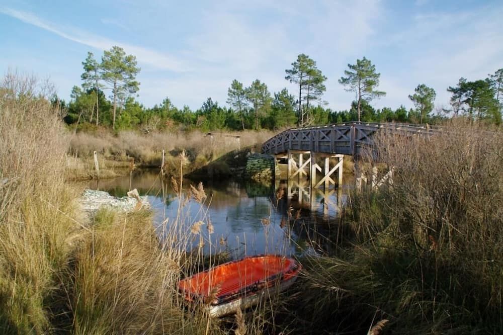 المظهر الخارجي