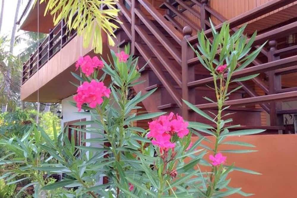 المظهر الخارجي