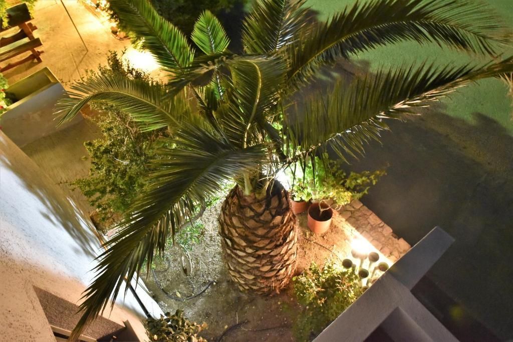 المظهر الخارجي