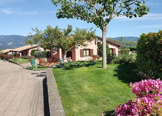 المظهر الخارجي