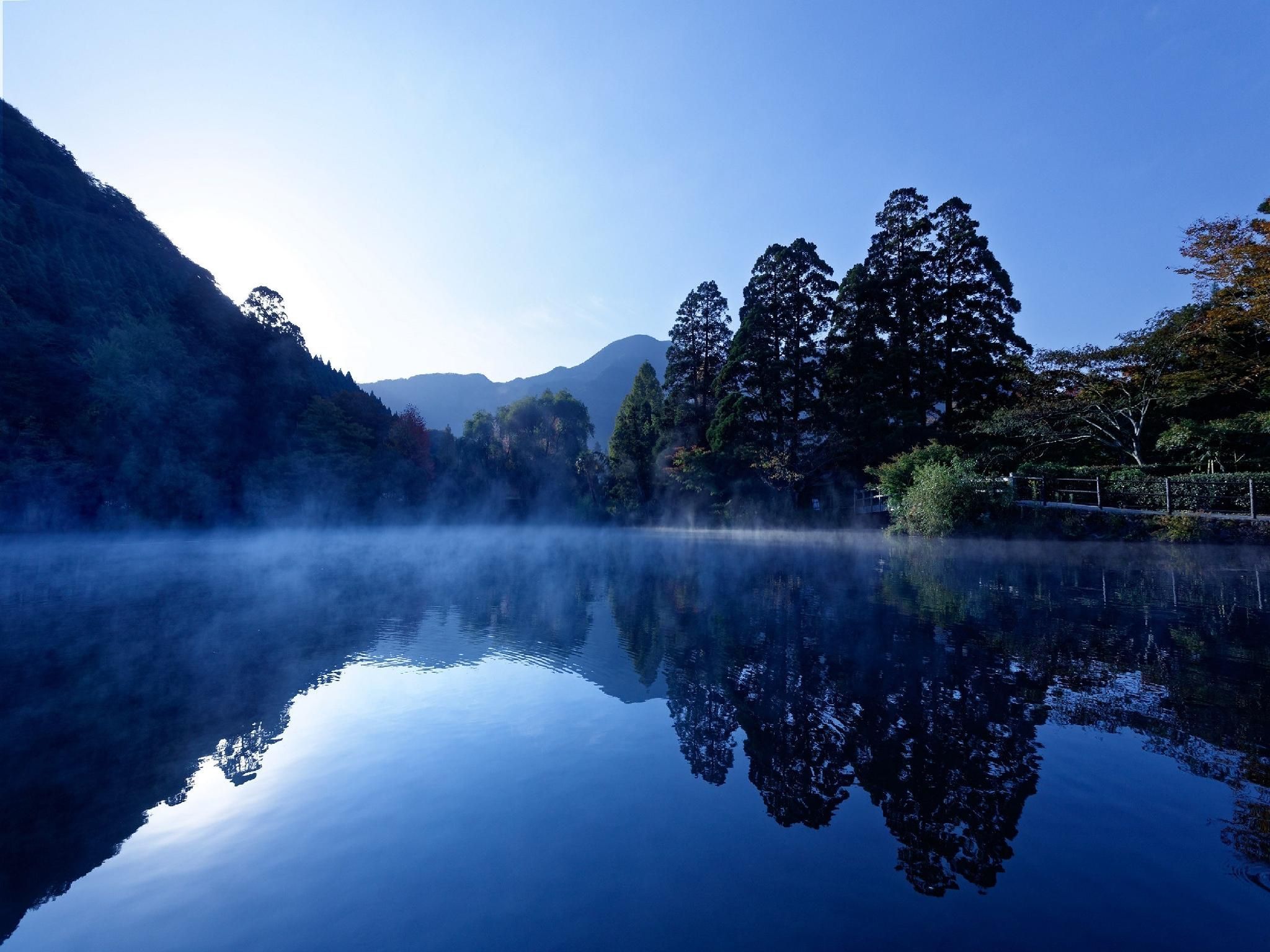 المظهر الخارجي