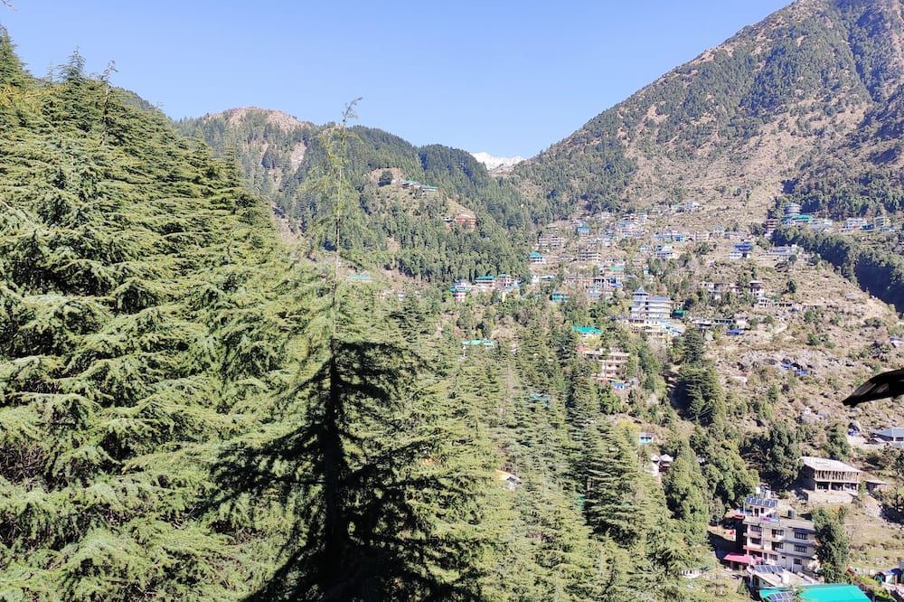 المظهر الخارجي