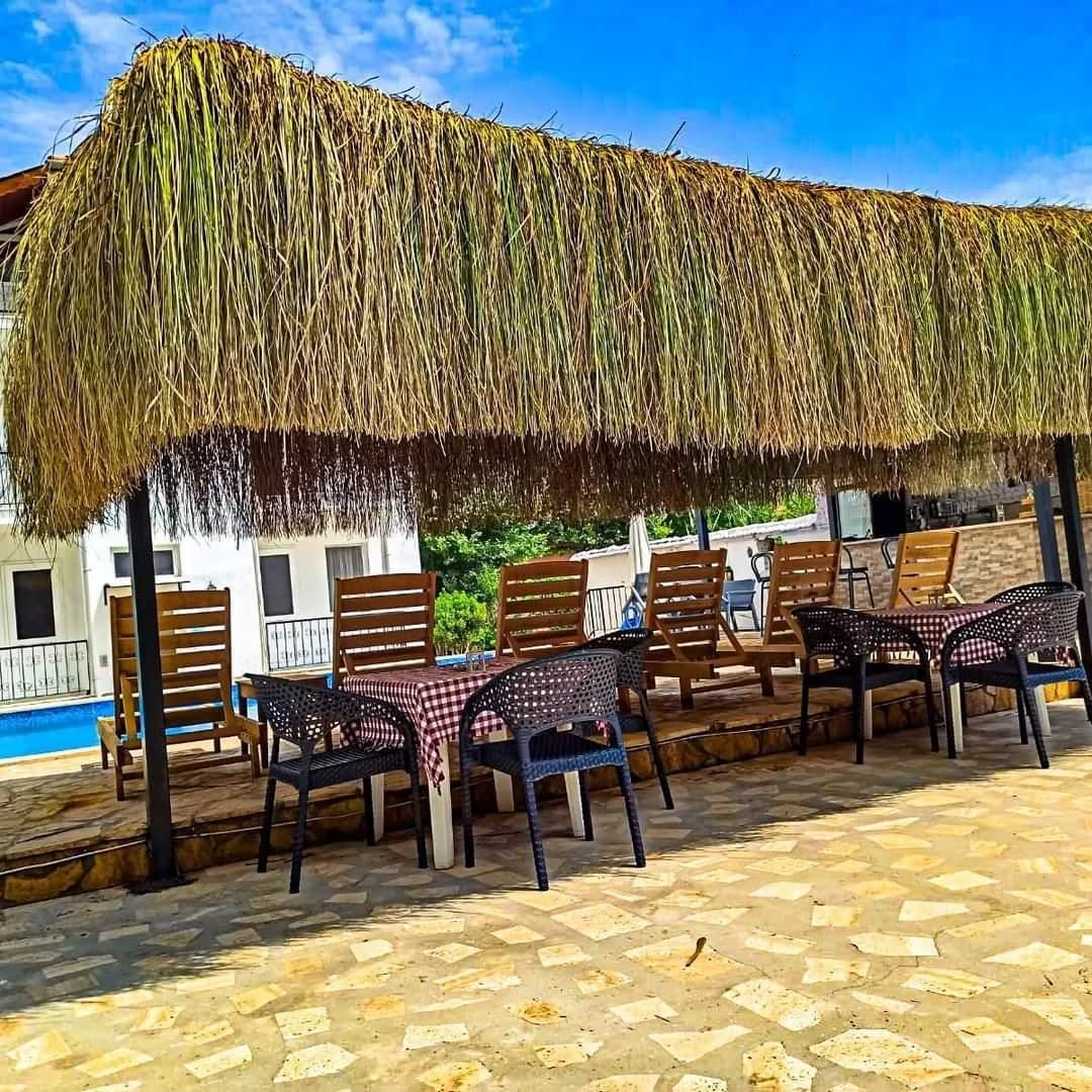 المظهر الخارجي