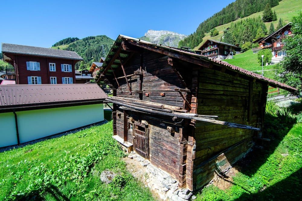 المظهر الخارجي