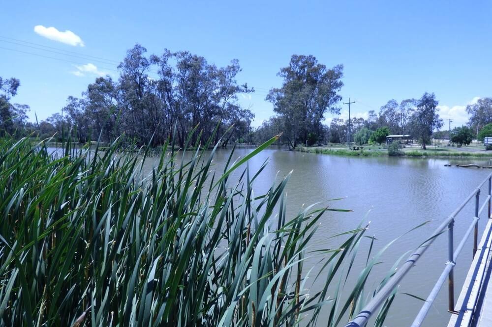 المظهر الخارجي