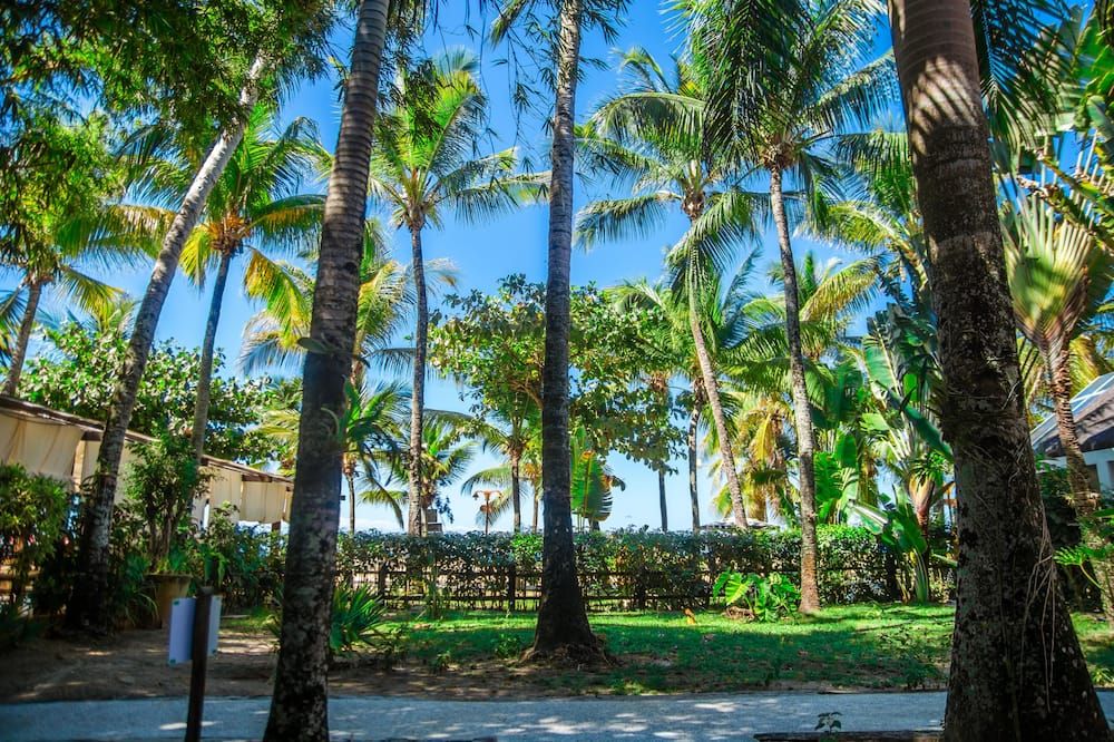 المظهر الخارجي