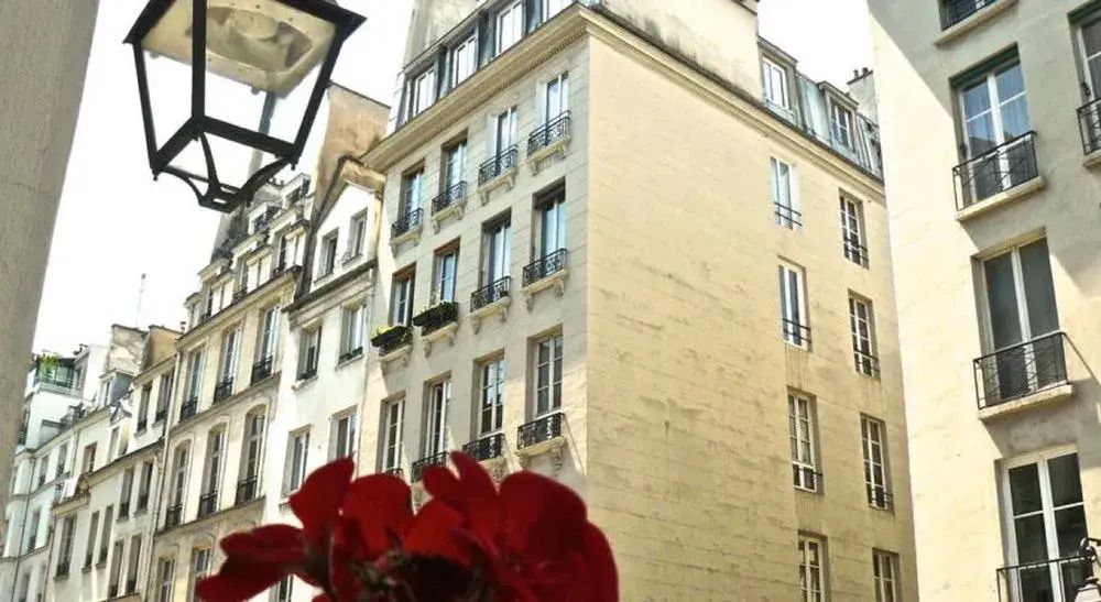 المظهر الخارجي