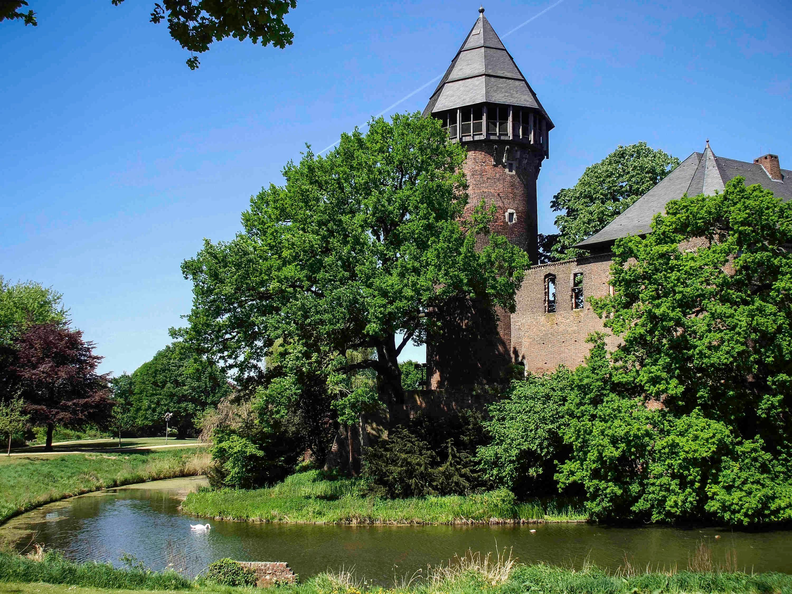 المظهر الخارجي