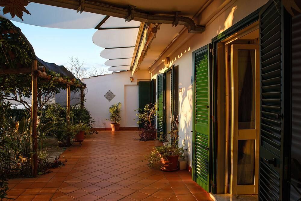 المظهر الخارجي