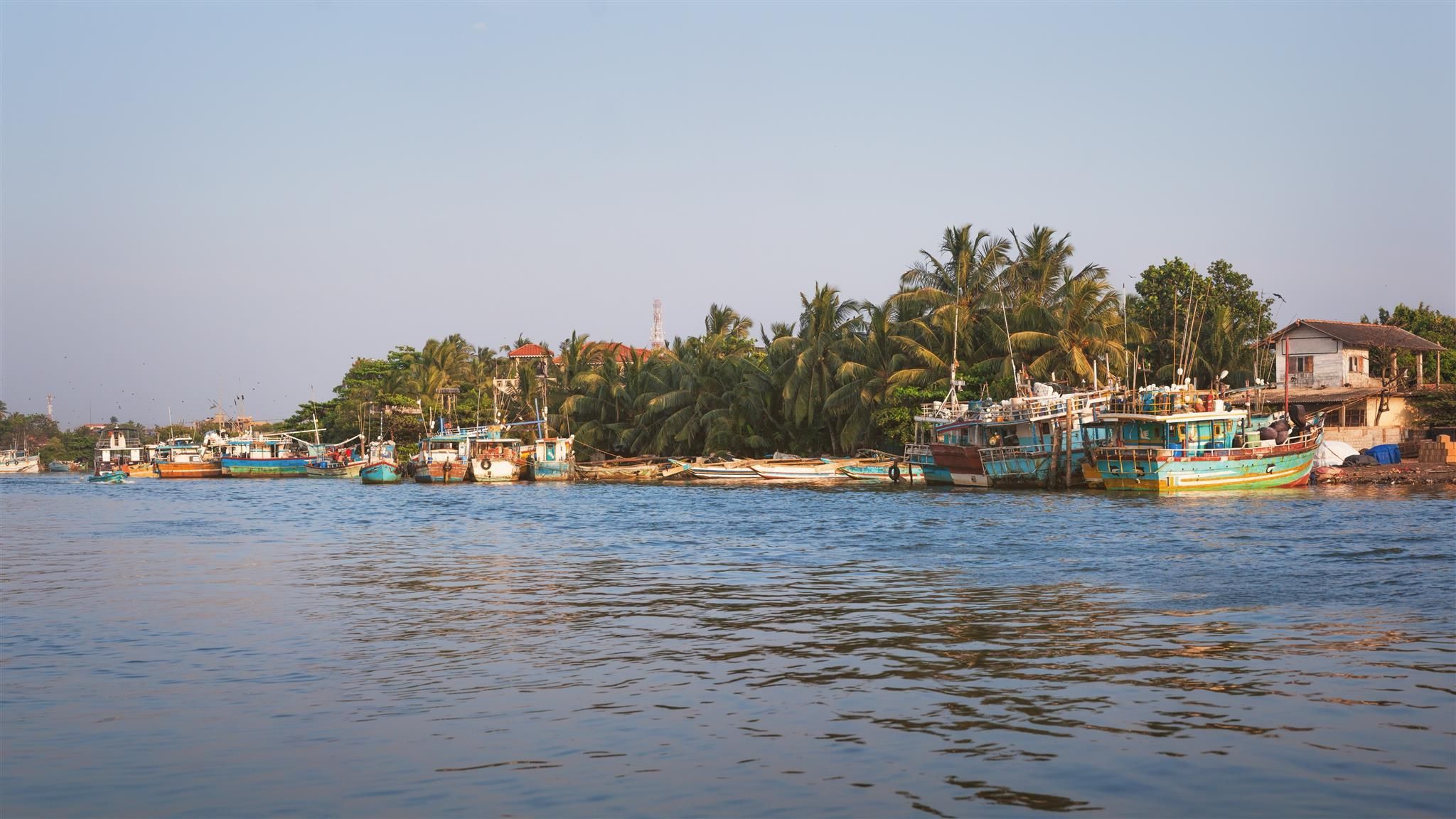 المظهر الخارجي