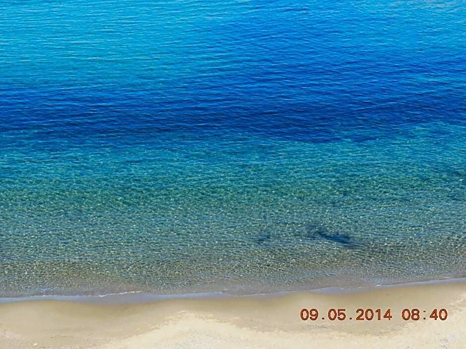شاطئ صورة