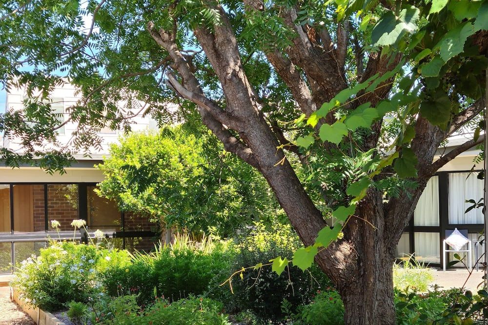 المظهر الخارجي