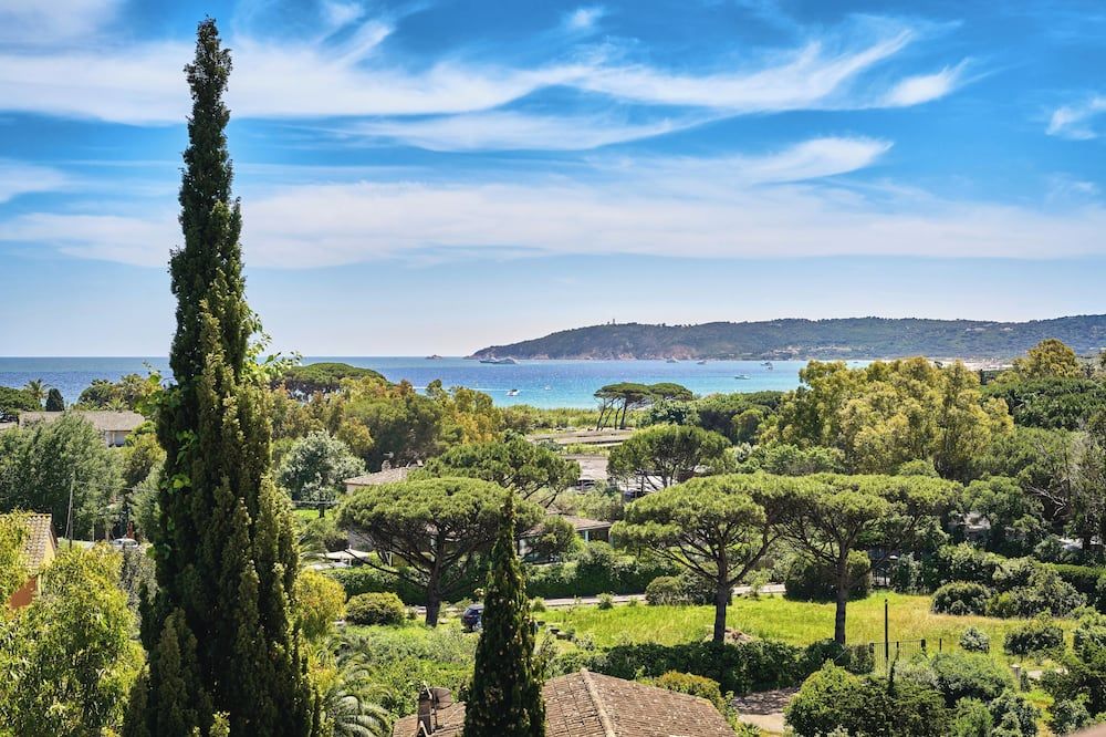 المظهر الخارجي