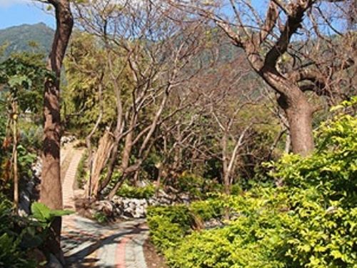 المظهر الخارجي