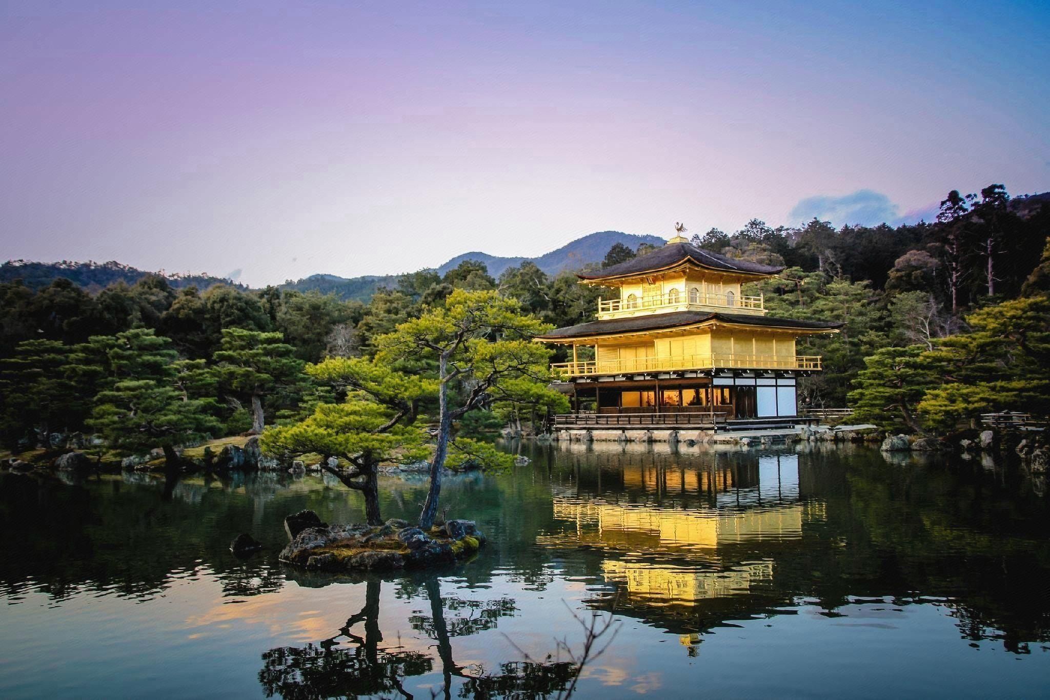 المظهر الخارجي