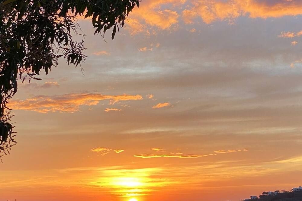 المظهر الخارجي