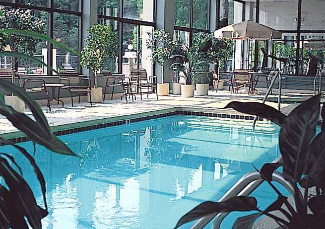 حوض السباحة