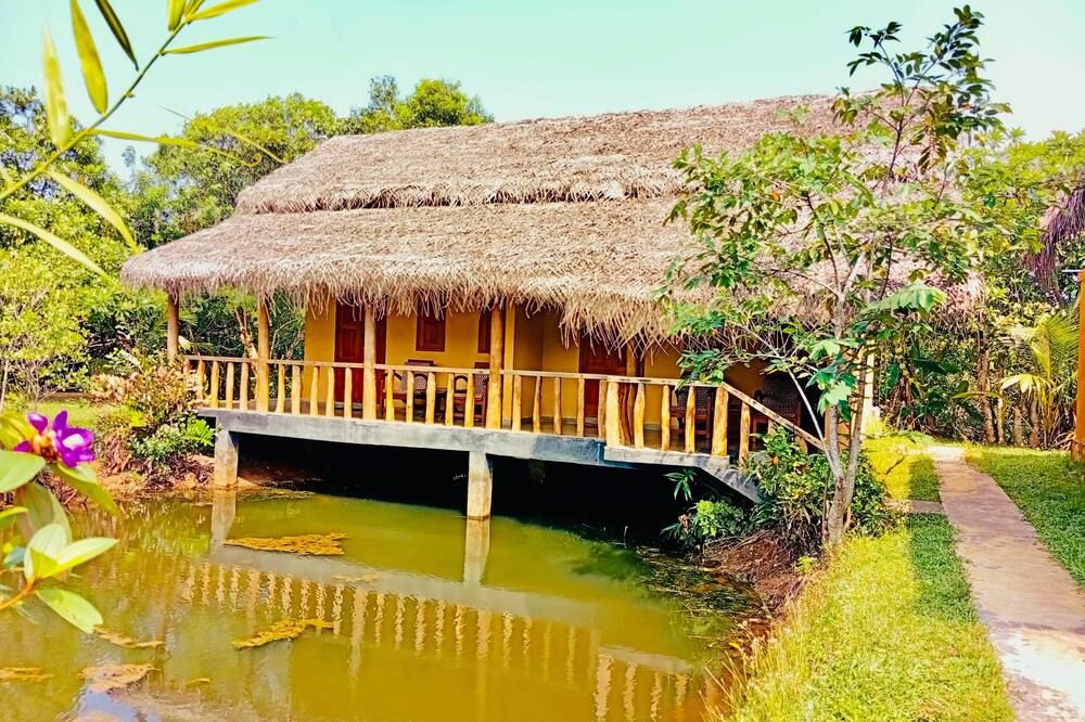 المظهر الخارجي