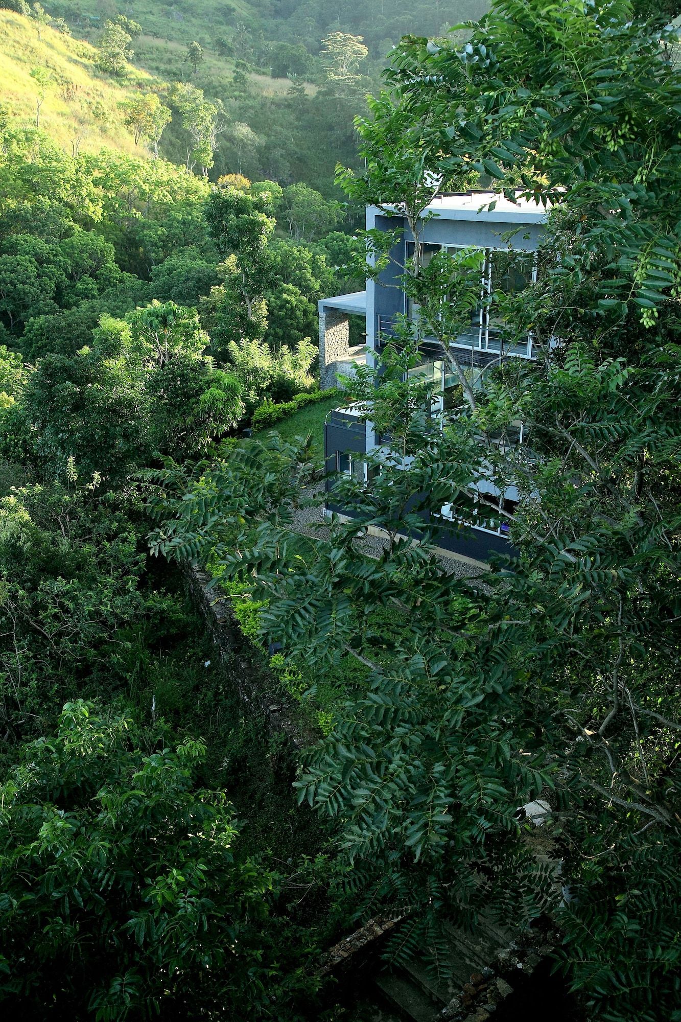 المظهر الخارجي