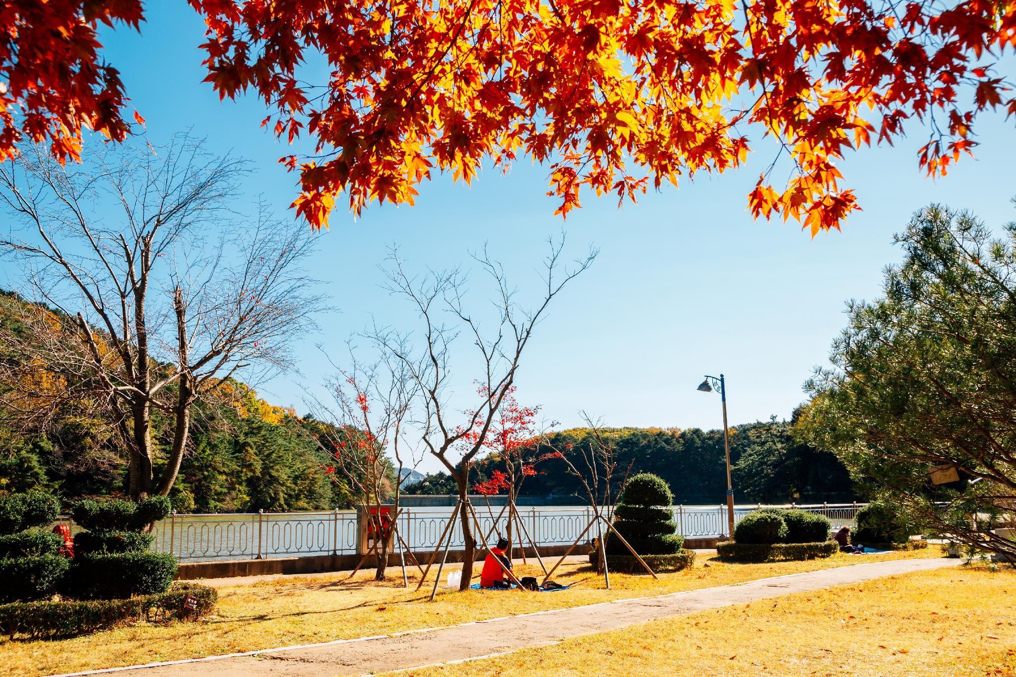 المظهر الخارجي