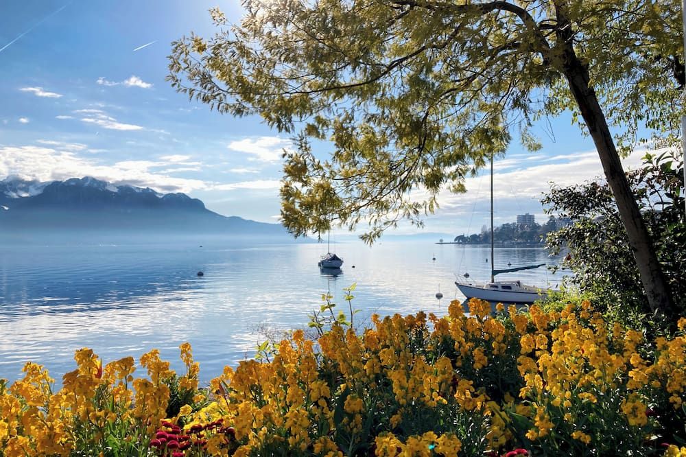 المظهر الخارجي