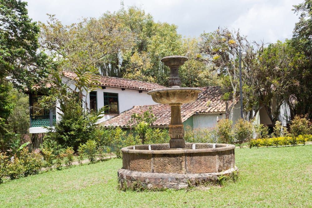 المظهر الخارجي