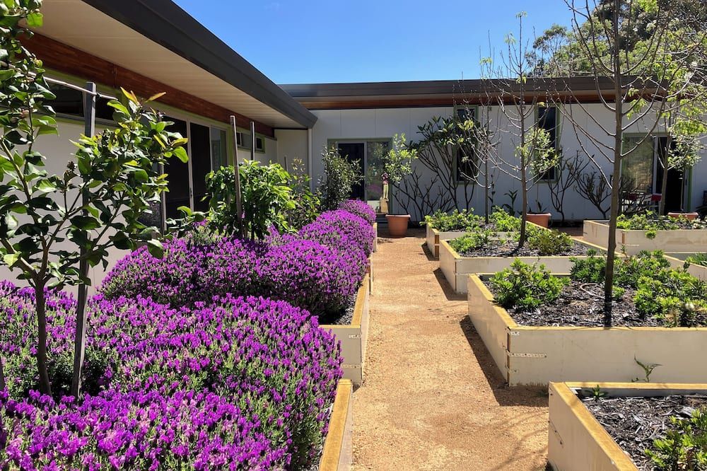 المظهر الخارجي