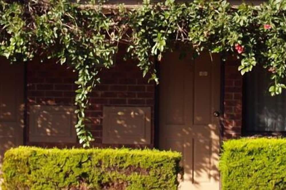 المظهر الخارجي