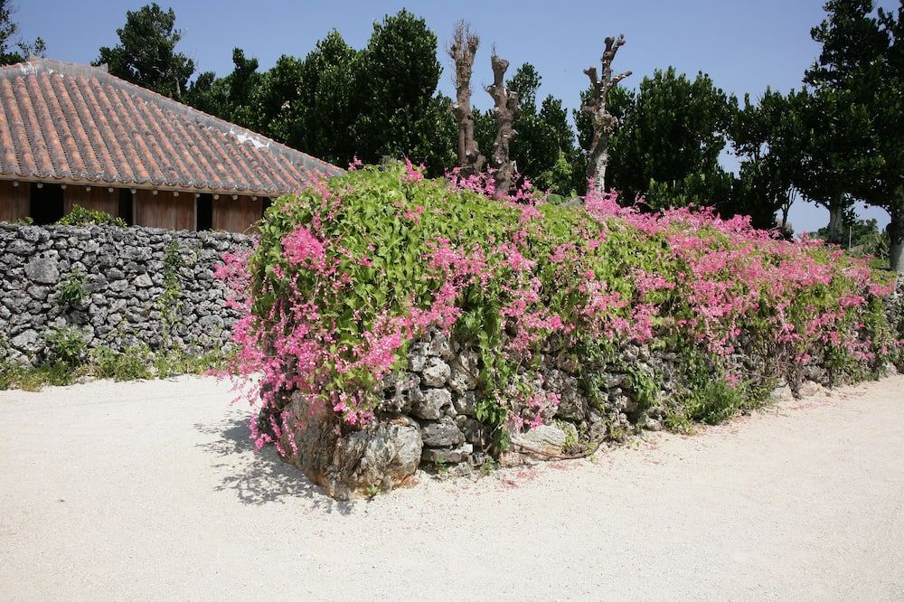 المظهر الخارجي