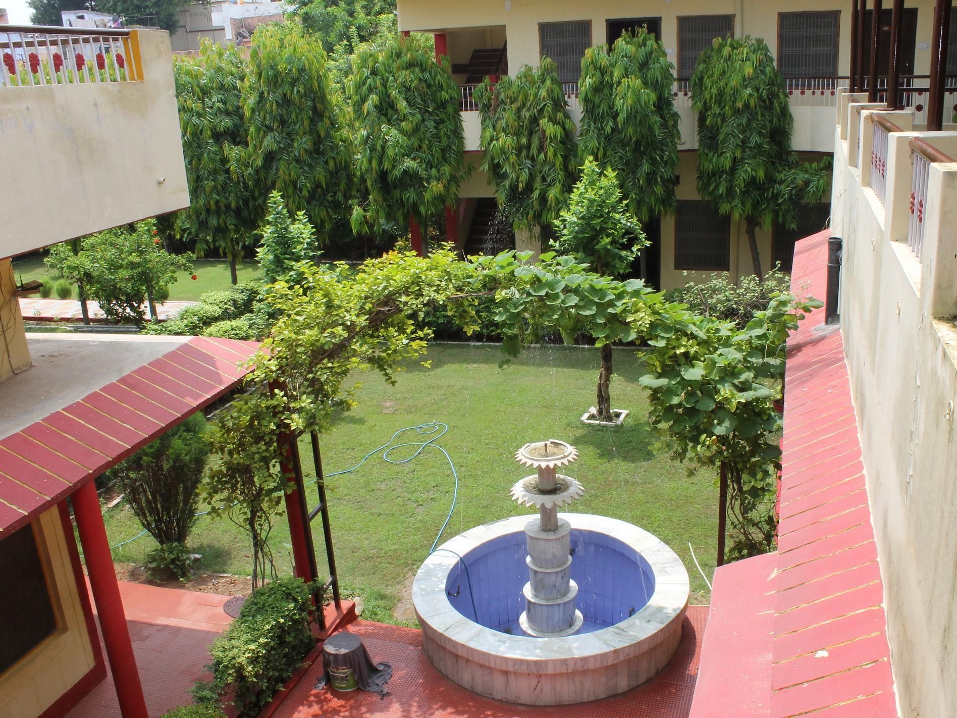 المظهر الخارجي