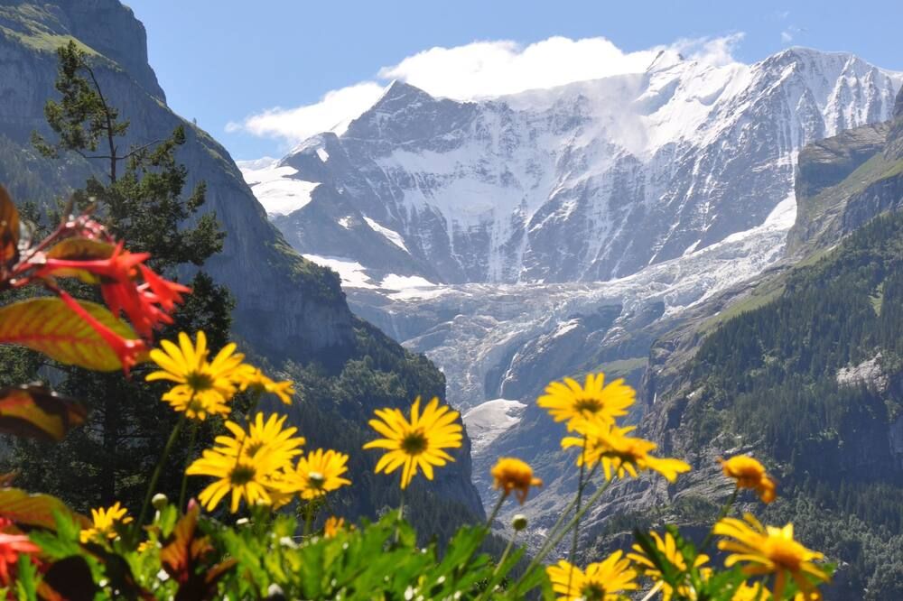 المظهر الخارجي