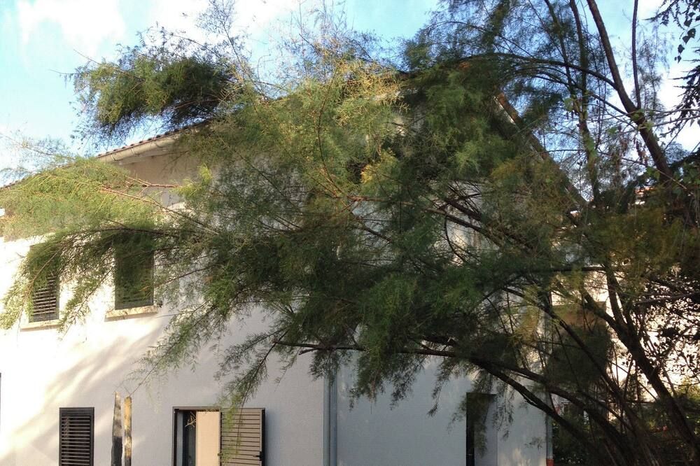 المظهر الخارجي