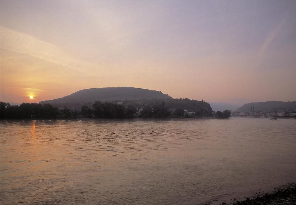 المظهر الخارجي