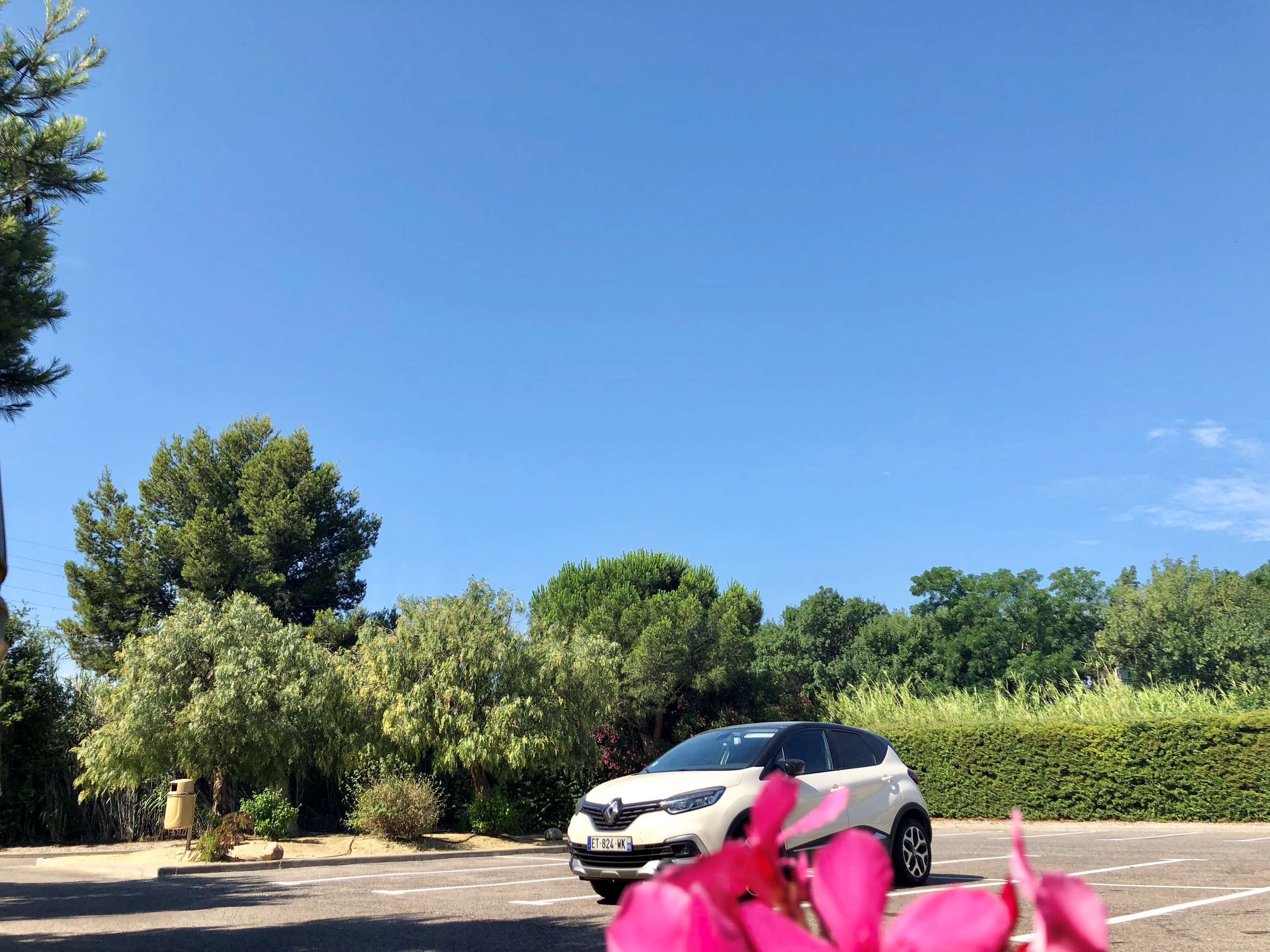 المظهر الخارجي