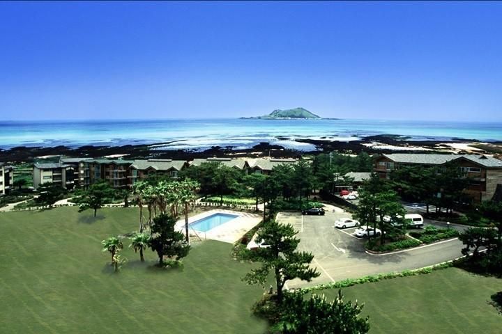 حوض السباحة