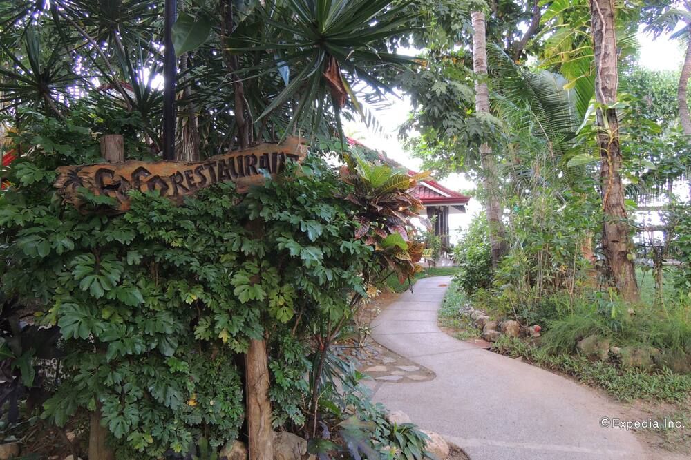 المظهر الخارجي