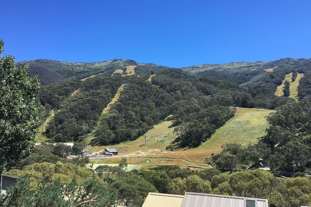 المظهر الخارجي