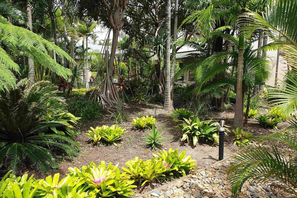 المظهر الخارجي