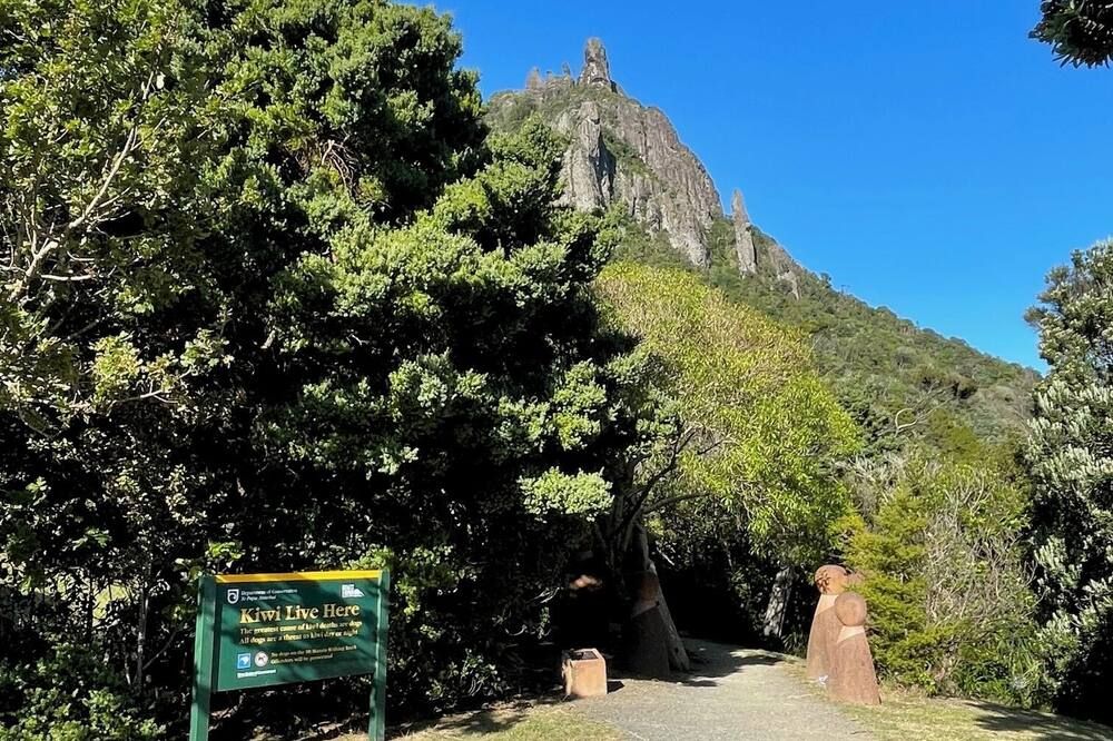 المظهر الخارجي