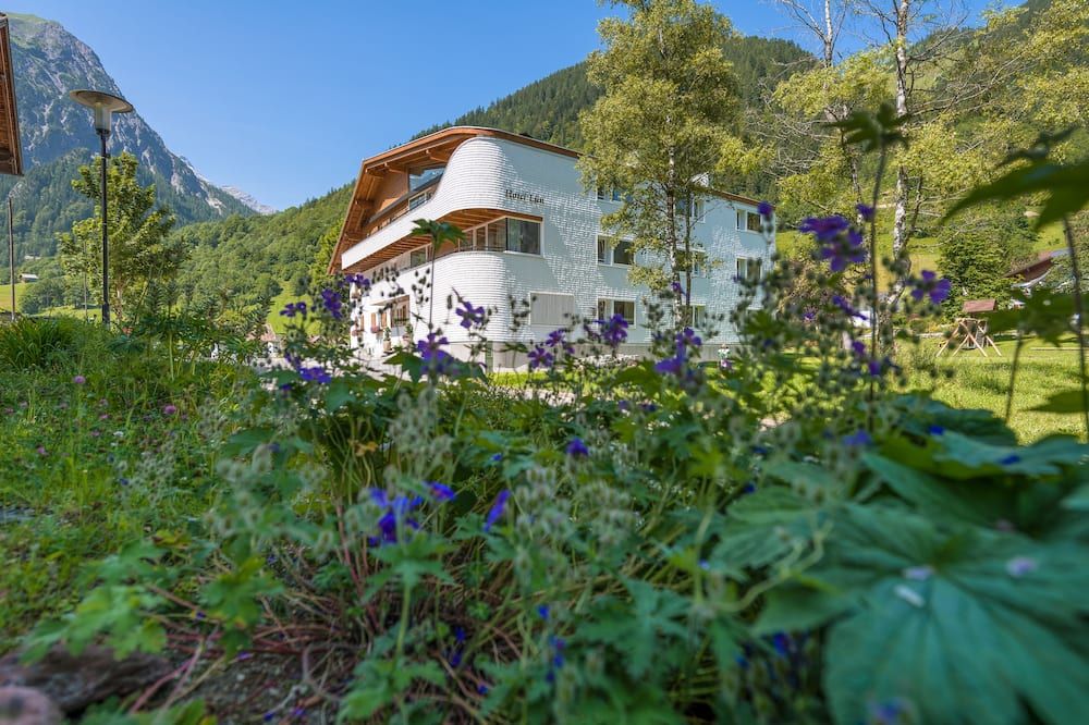 المظهر الخارجي