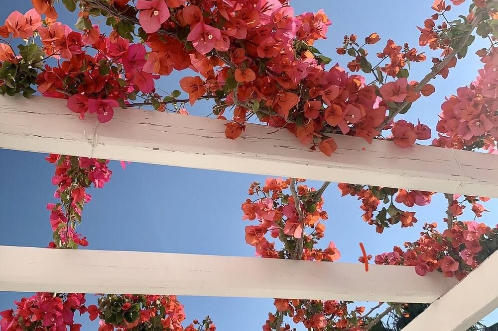 المظهر الخارجي