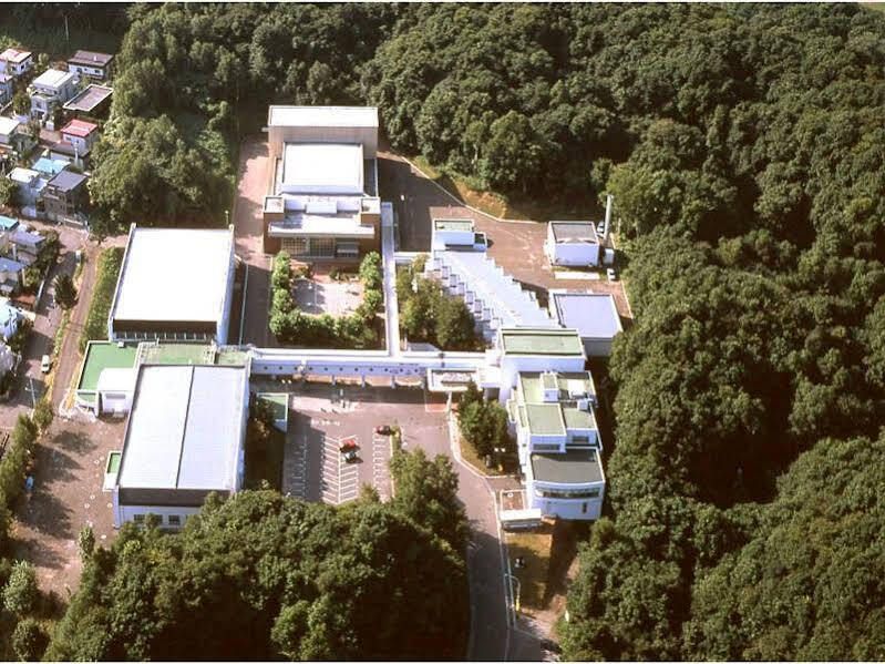 المظهر الخارجي