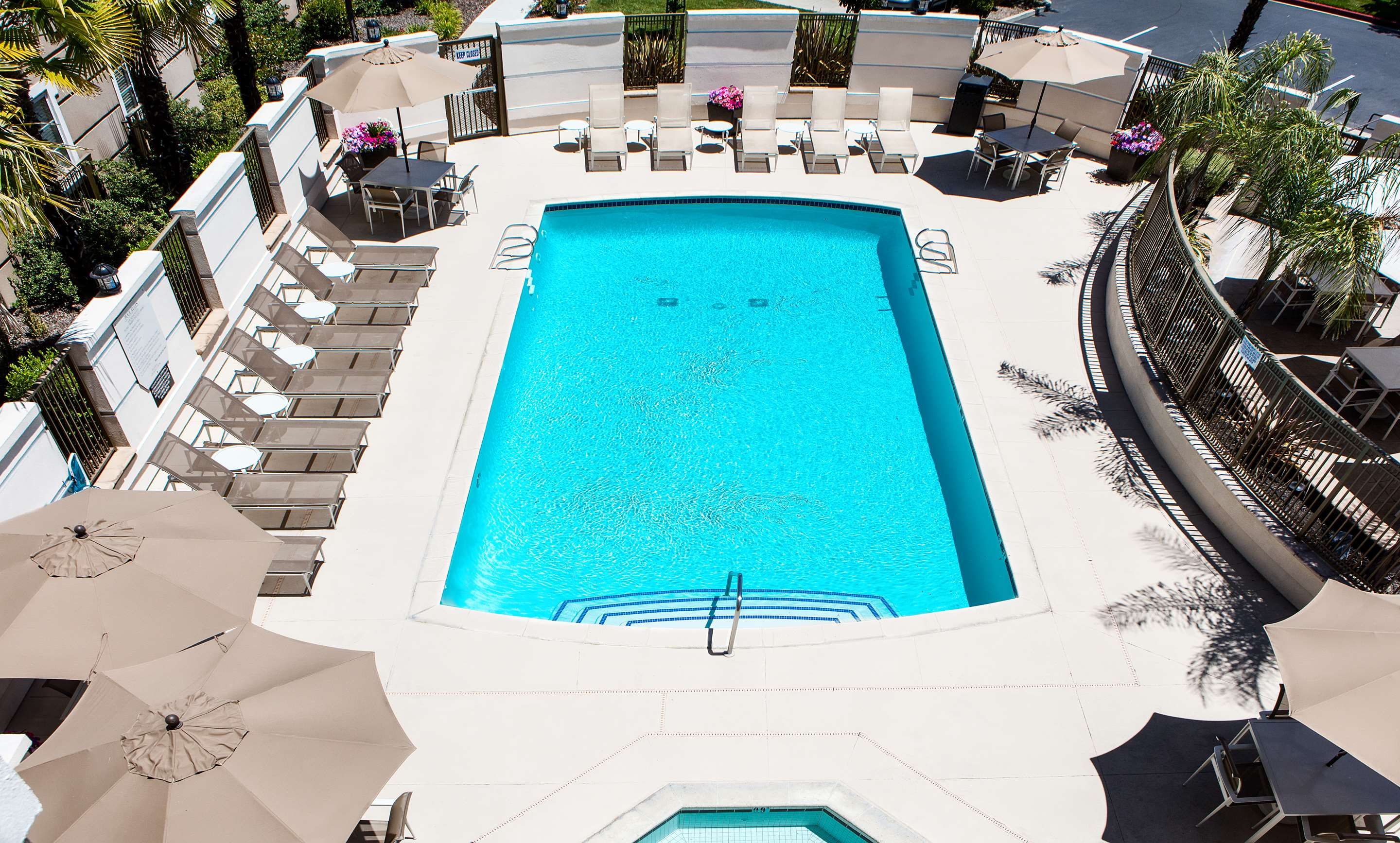 حوض السباحة