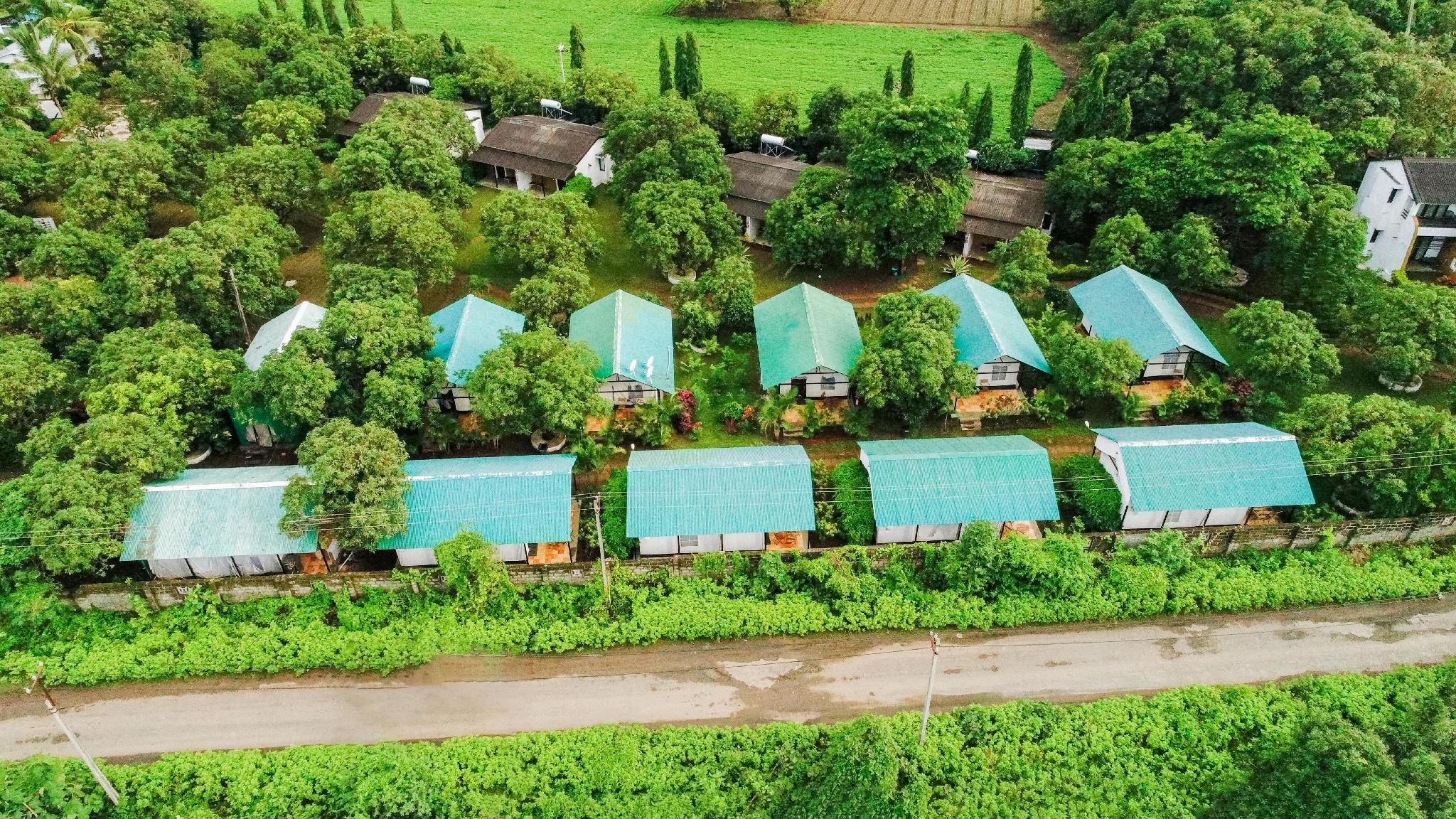 المظهر الخارجي