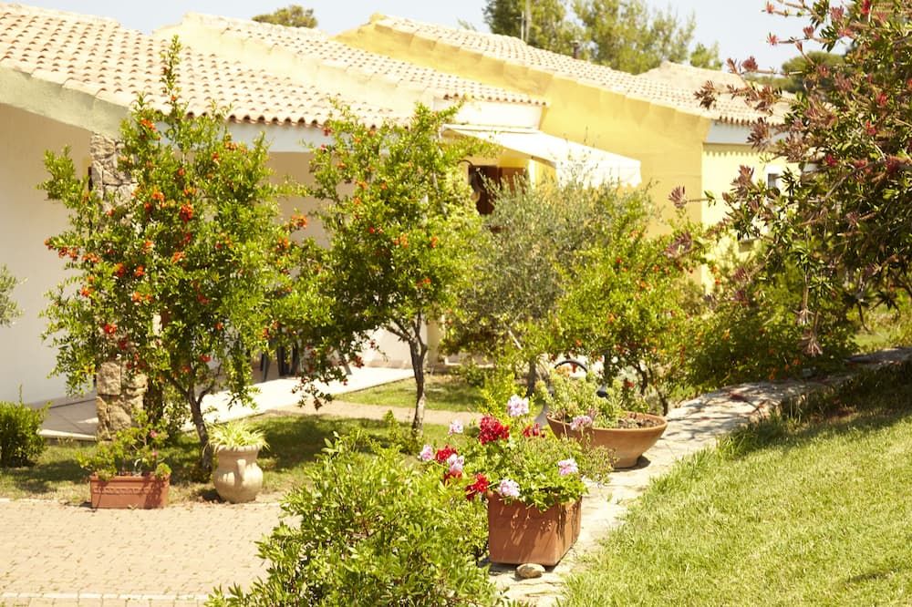 المظهر الخارجي