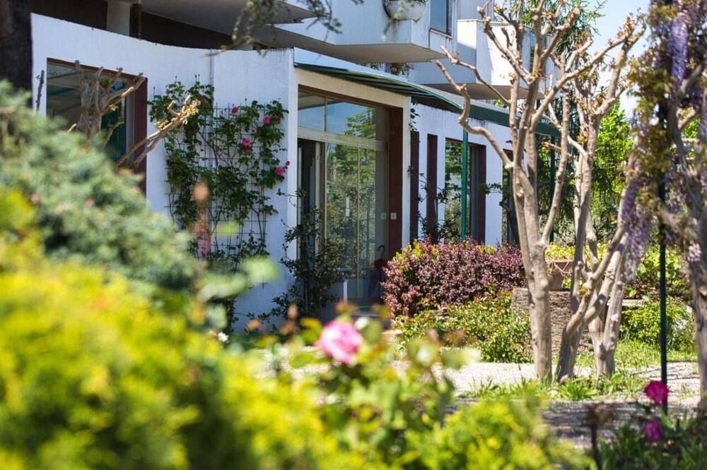 المظهر الخارجي