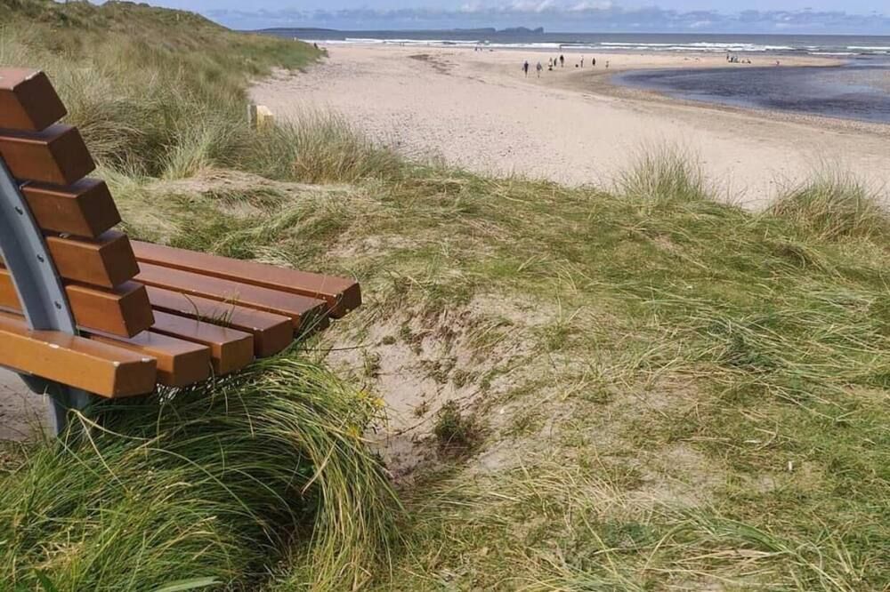 المظهر الخارجي