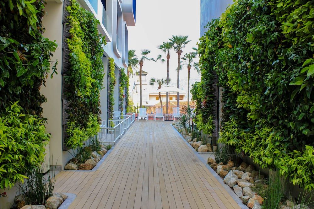 المظهر الخارجي