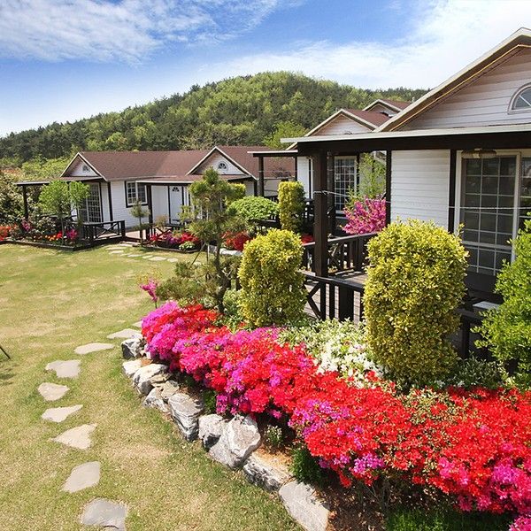 المظهر الخارجي