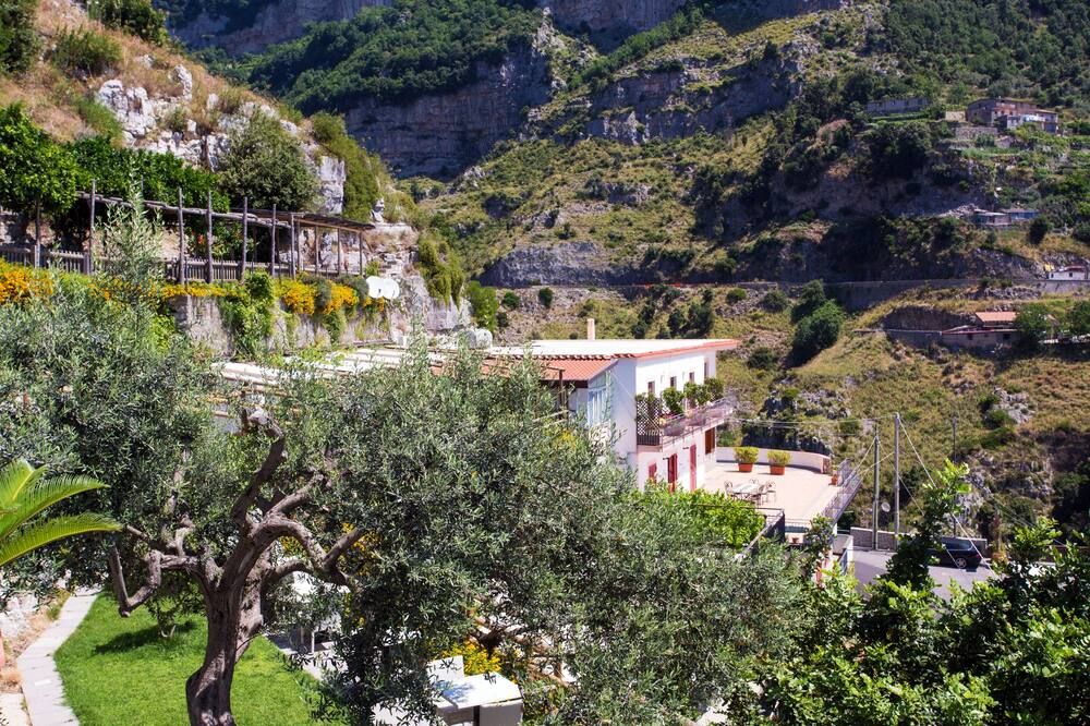 المظهر الخارجي